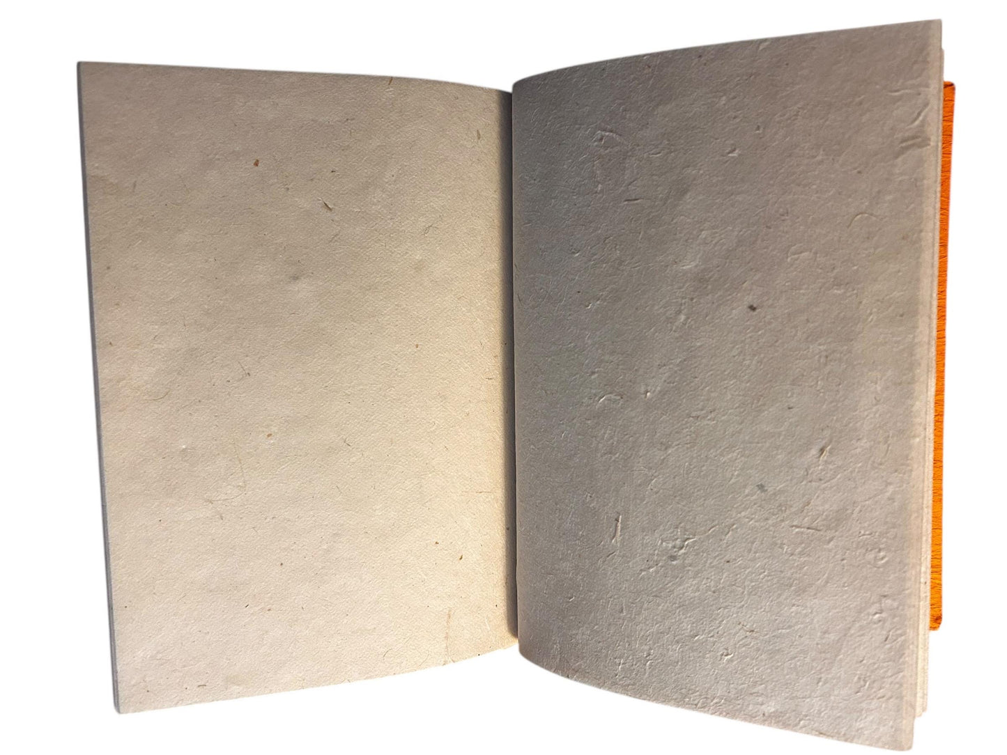 Edles, Handgemachtes Loktapapier Notizbuch mit Blattverzierung aus Nepal | 60 Seiten | Nachhaltiges Tagebuch, Eco Friendly Handmade Journal